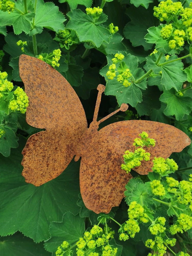 Schmetterling Edelrost zum stecken