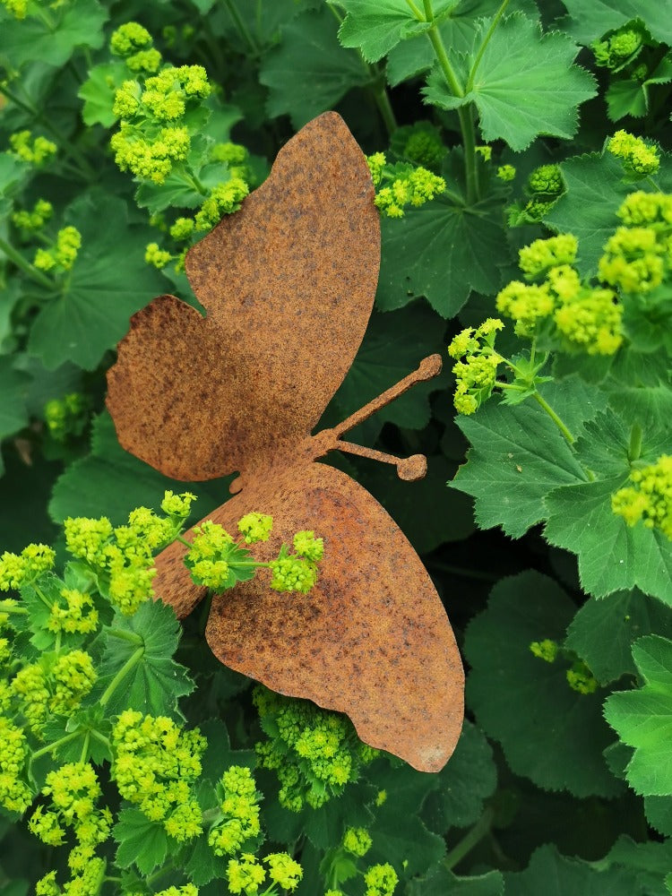 Schmetterling Edelrost zum stecken
