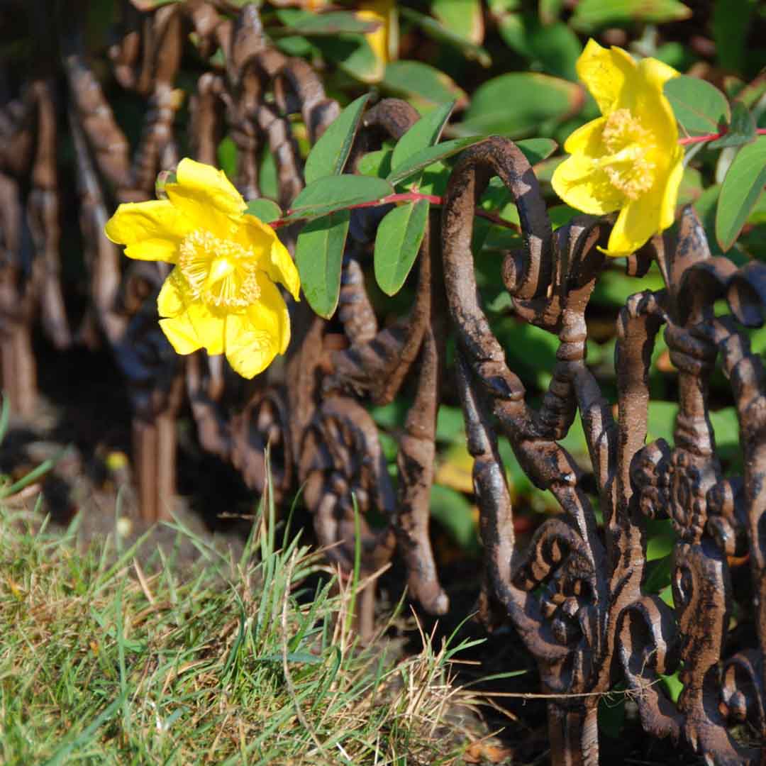 Anmutiger Beetzaun Rankgitter für Blumenkästen Gusseisen