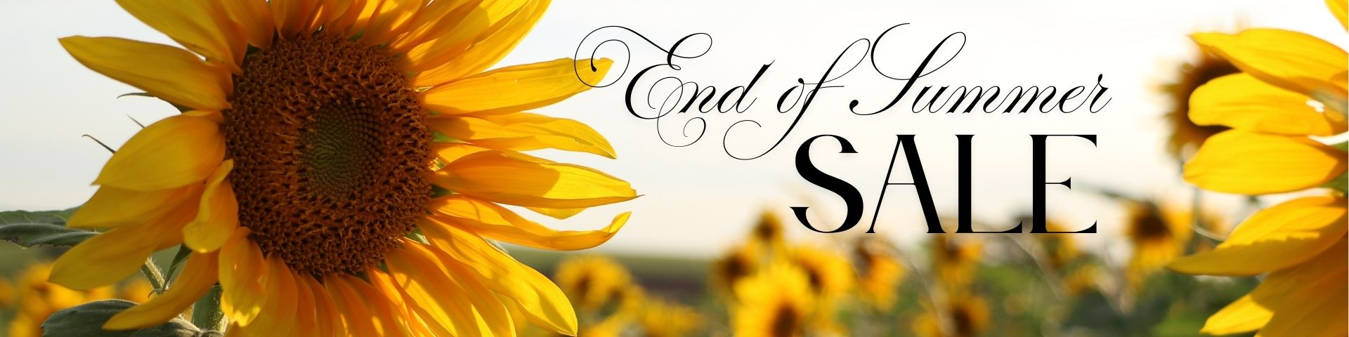 End of Summer SALE