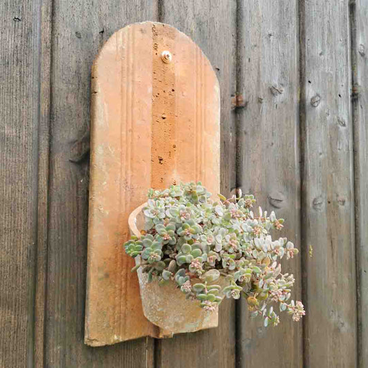 Blumentopf für die Wand auf Dachziegel - Vintage