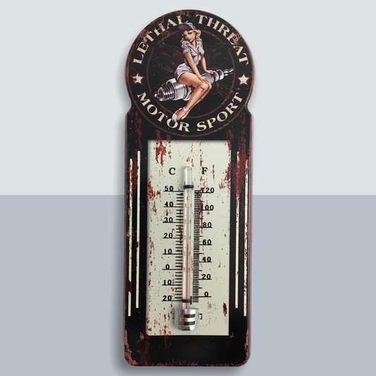 Thermometer auf Pin-Up Blechschild im Retro Design - der Wohnsinnige